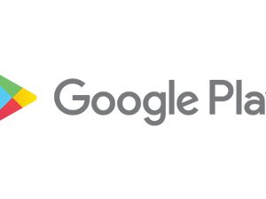 Google Play India - Google Play IN 100 INR